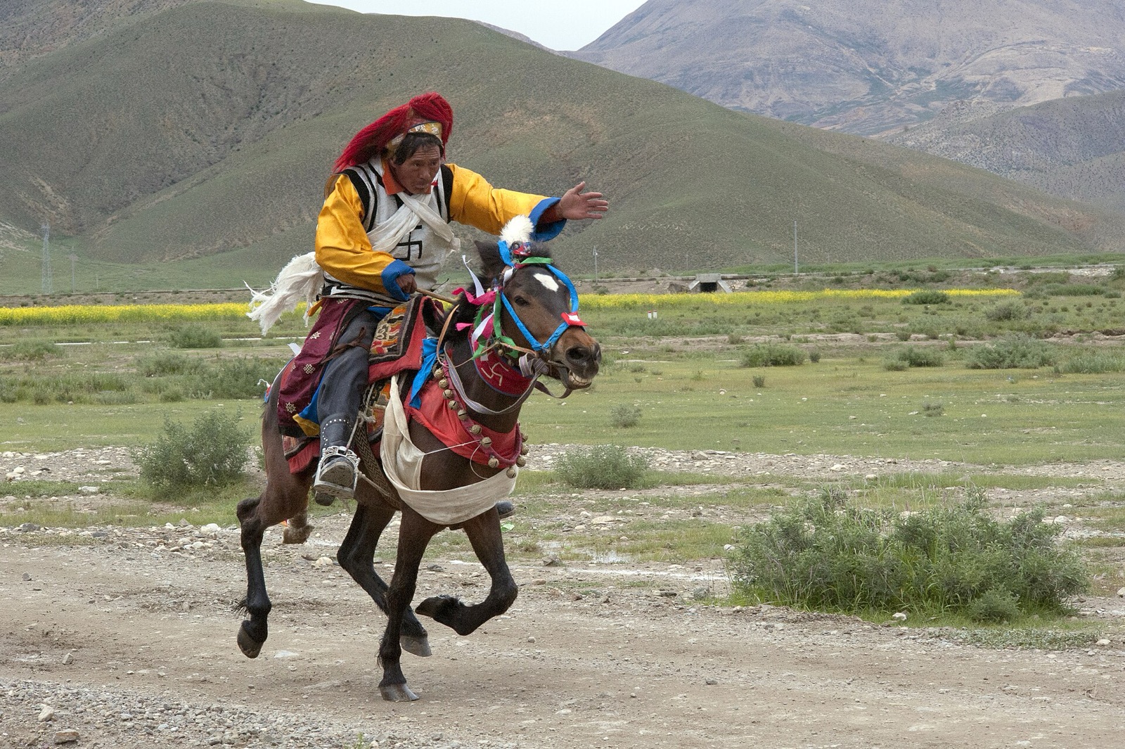 Tibetan horse racing and nomad culture